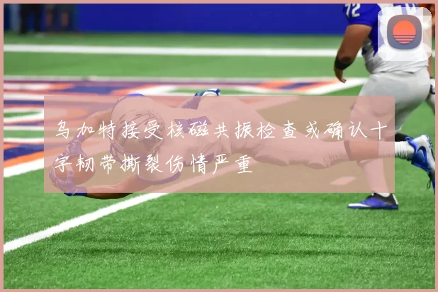 乌加特接受核磁共振检查或确认十字韧带撕裂伤情严重