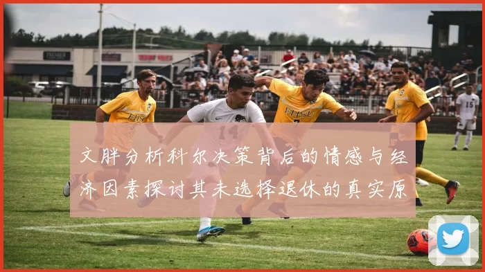 文胖分析科尔决策背后的情感与经济因素探讨其未选择退休的真实原因
